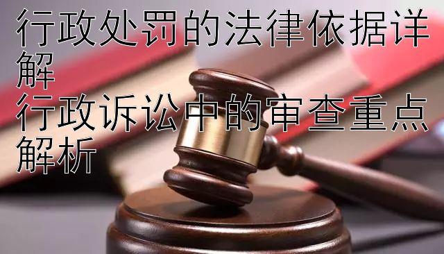 行政处罚的法律依据详解  
行政诉讼中的审查重点解析