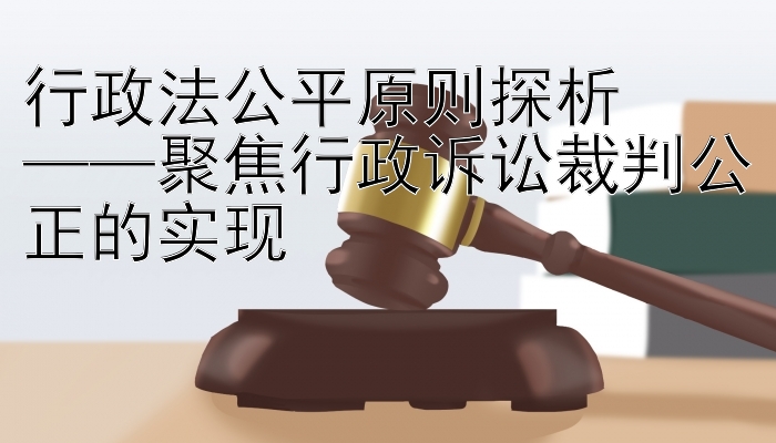 行政法公平原则探析  
——聚焦行政诉讼裁判公正的实现